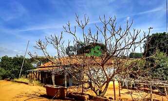 Imagem 7: Sitio - [LAVOURA/CAFÉ/SUÍNO/PECUÁRIA], com 10,37 Alqueires, à venda por R$ 1.415.000,00