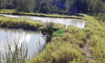 Imagem 2: Sitio, 2 Alqueires, à venda por R$ 1.100.000,00 - Município Engenheiro Coelho/SP