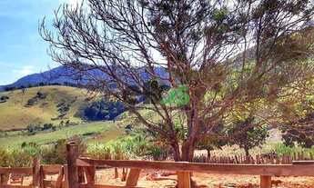 Imagem 3: Sitio - [LAVOURA/CAFÉ/SUÍNO/PECUÁRIA], com 10,37 Alqueires, à venda por R$ 1.415.000,00