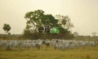 Imagem 6: Fazenda de PECUÁRIA, (COM JAZIDA DE CRISTAL), 61.453 hectares, à venda por R$ 123.000.000