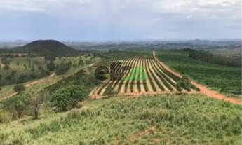 Imagem: Fazenda de Dupla Aptidão - AGRICULTURA