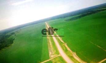 Imagem: FAZENDA, 33.000 hectares, AGRICULTURA Safra/Safrinha