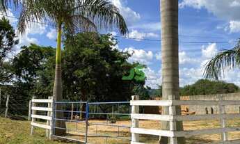 Imagem 3: Fazenda de PECUÁRIA (Pastagens) rico em AGUA, 36 Hectares, a VENDA por R$ 2.500.000,00