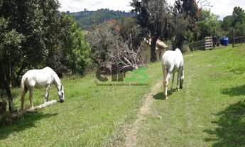 Imagem 4: Fazenda DUPLA APTIDÃO, formada em pasto, excelente p/ café, c/ 01 represa e a 4km do asfal