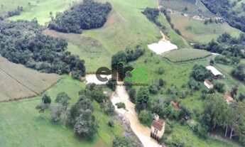 Imagem: Fazenda DUPLA APTIDÃO, formada em pasto