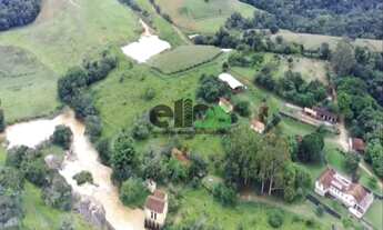 Imagem 3: Fazenda DUPLA APTIDÃO, formada em pasto, excelente p/ café, c/ 01 represa e a 4km do asfal