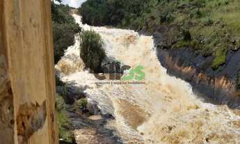 Imagem 7: Fazenda DUPLA APTIDÃO, formada em pasto, excelente p/ café, c/ 01 represa e a 4km do asfal
