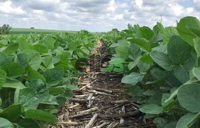 Imagem 4: VENDA DE COMMODITIES: GRÃOS DE SOJA, MILHO, CAFÉ, ÓLEO DE GIRASSOL, AÇÚCAR REFINADO E FRAN