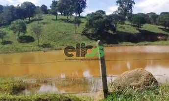 Imagem: Fazenda DUPLA APTIDÃO c/ aproveitamento