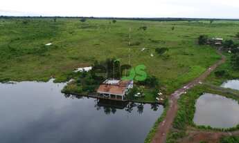 Imagem 2: Fazenda DUPLA APTIDÃO c/ excelente logística de escoamento, 02 córregos, 276 alqueires min