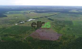 Imagem 7: Fazenda DUPLA APTIDÃO c/ excelente logística de escoamento, 02 córregos, 276 alqueires min