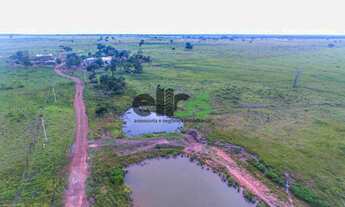 Imagem 5: Fazenda DUPLA APTIDÃO c/ excelente logística de escoamento, 02 córregos, 276 alqueires min