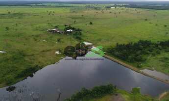 Imagem 3: Fazenda DUPLA APTIDÃO c/ excelente logística de escoamento, 02 córregos, 276 alqueires min