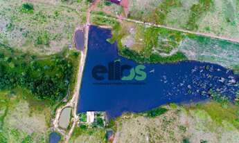 Imagem: Fazenda DUPLA APTIDÃO c/ excelente logística