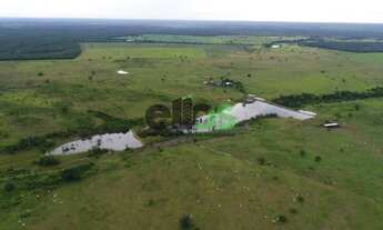 Imagem 6: Fazenda DUPLA APTIDÃO c/ excelente logística de escoamento, 02 córregos, 276 alqueires min