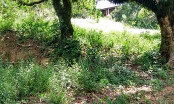 Imagem 4: SITIO RURAL em Sorocaba - SP, BRIGADEIRO TOBIAS