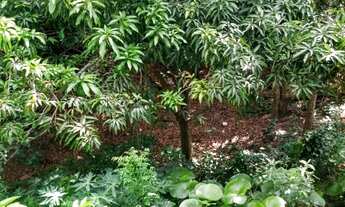 Imagem 5: SITIO RURAL em Sorocaba - SP, BRIGADEIRO TOBIAS