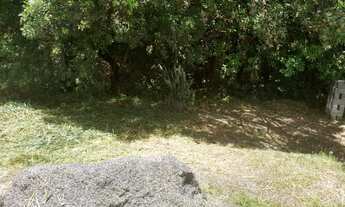 Imagem 6: Chácara Jundiaquara Araçoiaba próximo a UFSCAR 1500 m² com 2 Nascentes e Pequeno Rancho