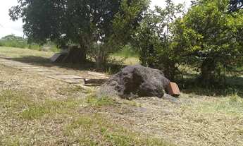 Imagem 5: Chácara Jundiaquara Araçoiaba próximo a UFSCAR 1500 m² com 2 Nascentes e Pequeno Rancho