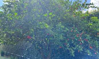 Imagem 7: Belíssima Chácara a venda com 750m2 área construída na Cidade de Elias Fausto - SP