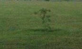 Imagem 5: Terreno Phytus III , 250mts Itupeva/Cabreúva