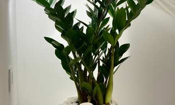 Imagem 5: Sobrado moderno com 3 quartos e 3 suítes no Jardim Popular, São Paulo-SP: 2 salas, 3 banhe