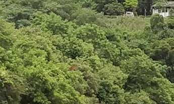 Imagem 6: Terreno à venda em Valinhos-SP, bairro Vale Verde, 1.200m² de área. Aproveite esta oportun