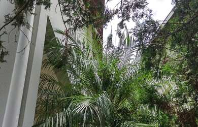 Imagem 5: CASA 04 QUARTOS,TERRAS DO CARIBE - VALINHOS SP