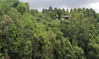 Imagem 5: CHÁCARA 03 QUARTOS, VALE VERDE - VALINHOS SP