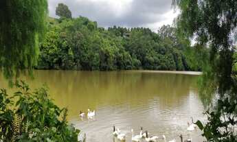 Imagem 4: CHÁCARA 03 QUARTOS, VALE VERDE - VALINHOS SP