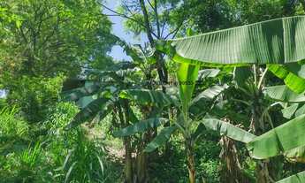 Imagem: Terreno industrial de 9.135 m² à venda