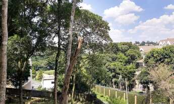 Imagem 2: Terreno para venda em São João - Curitiba-Paraná
