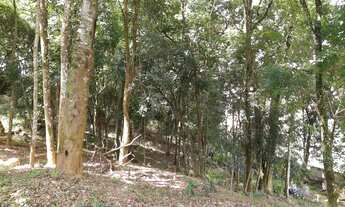 Imagem 7: Terreno para venda em São João - Curitiba-Paraná