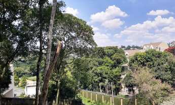 Imagem 4: Terreno para venda em São João - Curitiba-Paraná