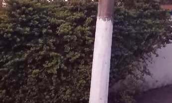 Imagem: Casa térrea com 3 dormitórios 180m² terreno