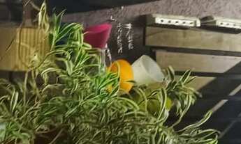 Imagem 3: Condomínio: triplex com 3 dormitórios 1 suite 2 vagas 100 m²