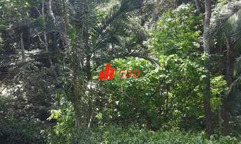 Imagem 7: Embu Condomínio do Bosque, casa com 4 dormitórios sendo 1 suíte,3 salas,útil de 400m²