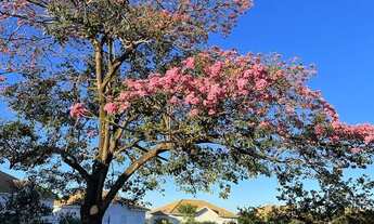 Imagem: CASA RESIDENCIAL em GOIÂNIA - GO, HOUSING