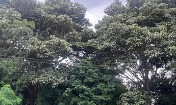 Imagem 6: TERRENO RESIDENCIAL em GOIÂNIA - GO, SETOR JAÓ