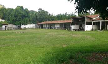 Imagem 4: RURAL - GUARATIBA