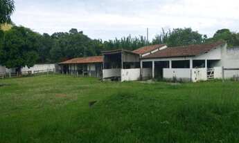 Imagem 6: RURAL - GUARATIBA