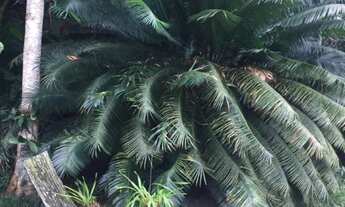 Imagem 3: RURAL - VARGEM GRANDE