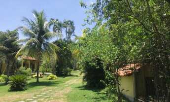 Imagem 4: RURAL - GUARATIBA