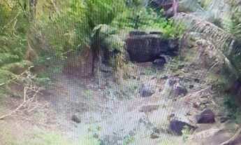 Imagem 2: RURAL - GUARATIBA