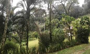 Imagem 5: Rurais à venda - no Centro