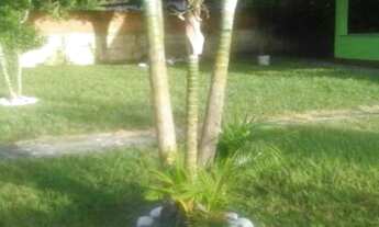 Imagem 2: Comercial à venda - no Centro