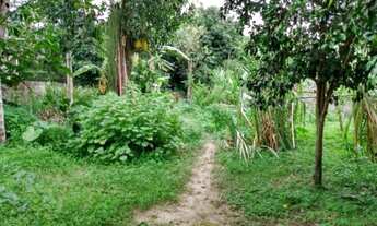 Imagem 2: ESTRADA DO CANTAGALO - CAMPO GRANDE