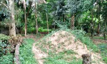 Imagem 4: ESTRADA DO CANTAGALO - CAMPO GRANDE