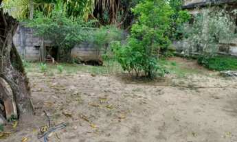 Imagem 6: ESTRADA DO CANTAGALO - CAMPO GRANDE