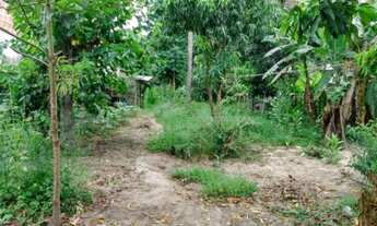 Imagem 7: ESTRADA DO CANTAGALO - CAMPO GRANDE